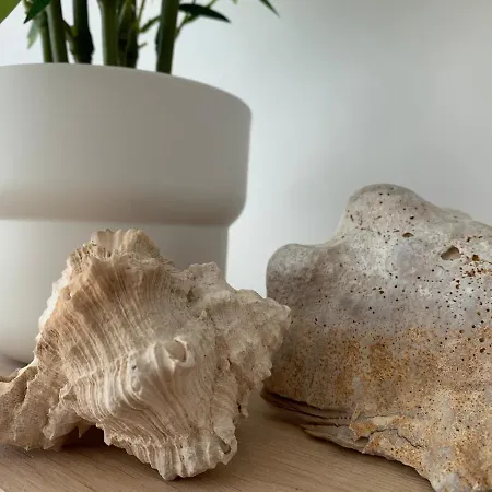 Strandcabane Apartmán Nieuwpoort